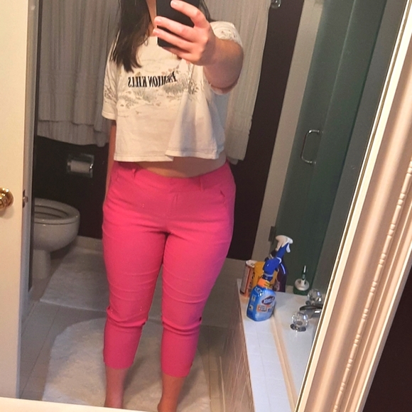 Pink Stretchy High Waisted Lane Bryant Pants - Picture 1 of 7